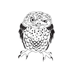 Hand drawn black white illustration owl fly bird. Art Coloring book owl .