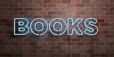 BOOKS - fluorescent Neon tube Sign on brickwork - Front view - 3D rendered royalty free stock picture. Can be used for online banner ads and direct mailers..