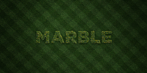 MARBLE - fresh Grass letters with flowers and dandelions - 3D rendered royalty free stock image. Can be used for online banner ads and direct mailers..