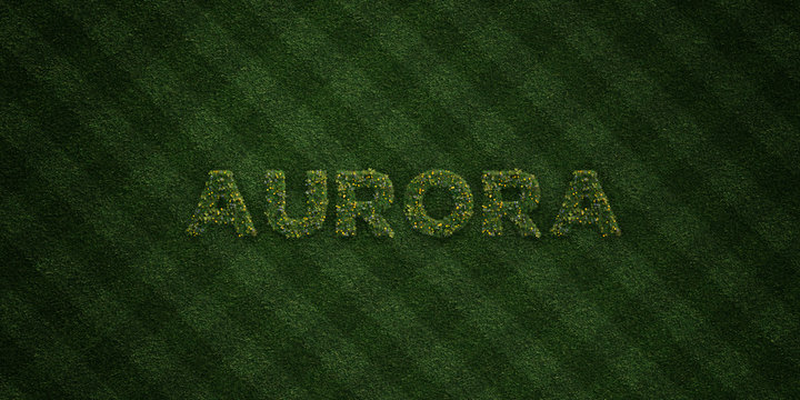 AURORA - fresh Grass letters with flowers and dandelions - 3D rendered royalty free stock image. Can be used for online banner ads and direct mailers..