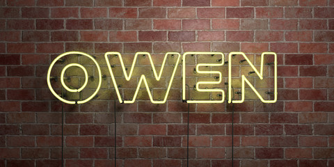 OWEN - fluorescent Neon tube Sign on brickwork - Front view - 3D rendered royalty free stock picture. Can be used for online banner ads and direct mailers..