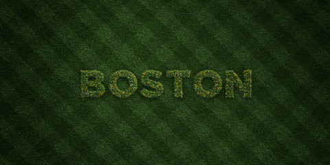 BOSTON - fresh Grass letters with flowers and dandelions - 3D rendered royalty free stock image. Can be used for online banner ads and direct mailers..