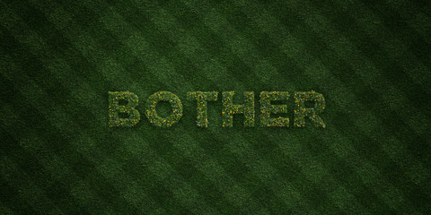 BOTHER - fresh Grass letters with flowers and dandelions - 3D rendered royalty free stock image. Can be used for online banner ads and direct mailers..