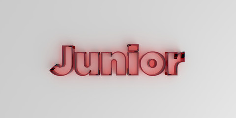 Junior - Red glass text on white background - 3D rendered royalty free stock image.