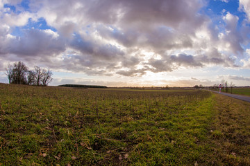 Sonnenuntergang auf dem Feld im Flachland