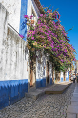 Street of Obidos