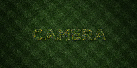 CAMERA - fresh Grass letters with flowers and dandelions - 3D rendered royalty free stock image. Can be used for online banner ads and direct mailers..