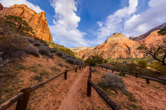 Scenic View Of The Canyon. The Rays Of The Sun Illuminate The Canyon. Sand Bench Horse Trail, Zion National Park, Utah, USA