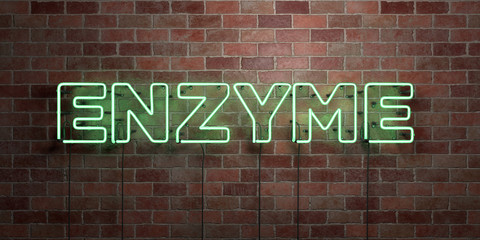 ENZYME - fluorescent Neon tube Sign on brickwork - Front view - 3D rendered royalty free stock picture. Can be used for online banner ads and direct mailers..
