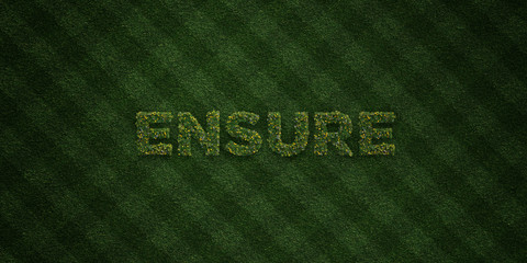 ENSURE - fresh Grass letters with flowers and dandelions - 3D rendered royalty free stock image. Can be used for online banner ads and direct mailers..