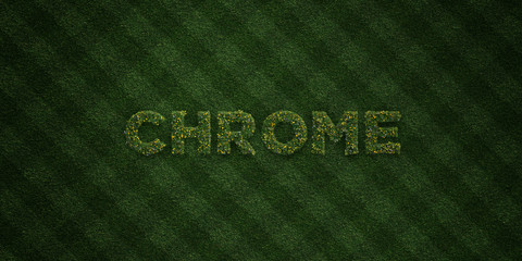 CHROME - fresh Grass letters with flowers and dandelions - 3D rendered royalty free stock image. Can be used for online banner ads and direct mailers..