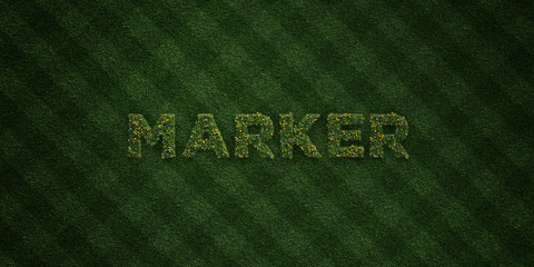 MARKER - fresh Grass letters with flowers and dandelions - 3D rendered royalty free stock image. Can be used for online banner ads and direct mailers..