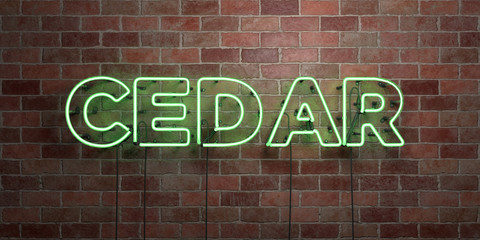 CEDAR - fluorescent Neon tube Sign on brickwork - Front view - 3D rendered royalty free stock picture. Can be used for online banner ads and direct mailers..