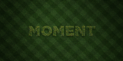 MOMENT - fresh Grass letters with flowers and dandelions - 3D rendered royalty free stock image. Can be used for online banner ads and direct mailers..