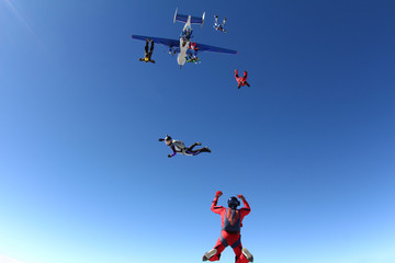 Skydivers have just jumped out of a plane