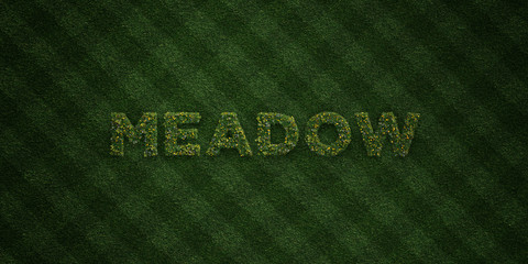 MEADOW - fresh Grass letters with flowers and dandelions - 3D rendered royalty free stock image. Can be used for online banner ads and direct mailers..