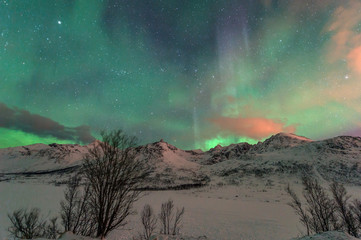 Illuminated Tent with northern Lights .Tromso 