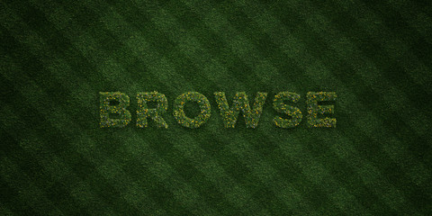 BROWSE - fresh Grass letters with flowers and dandelions - 3D rendered royalty free stock image. Can be used for online banner ads and direct mailers..