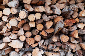 Texture background pf wood logs