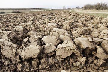 Agriculture plowed field