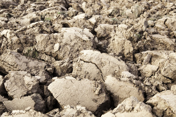 Agriculture plowed field