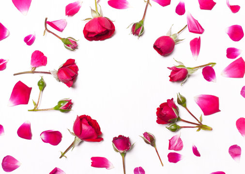 Pattern of red roses petals on white background