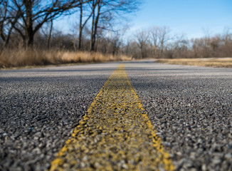 bicycle trail line in the forest preserve during the day