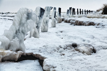 Norddeutscher Winter