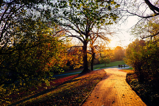 Herbstsonne
