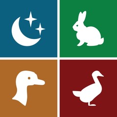 Set of 4 nature filled icons