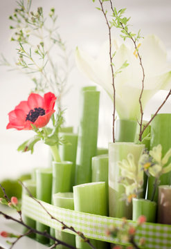 Amaryllis als Vase