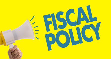 Fiscal Policy