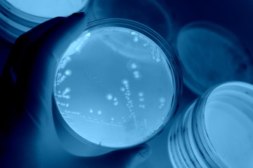 研究イメージ　微生物学