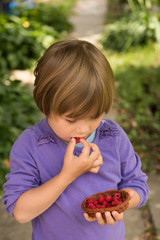 Little girl eating raspberries from the basket in green garden