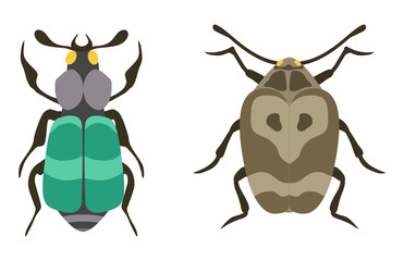 Insect icon flat isolated vector illustration.