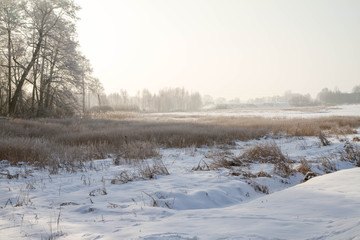 Winter landscape - meadow covered with snow