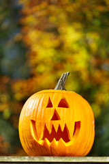 Getting ready for Halloween - vampire jack-o-lantern on a sunny autumn afternoon