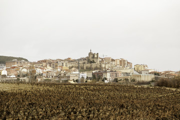 Fototapeta premium Village landscape and vineyards