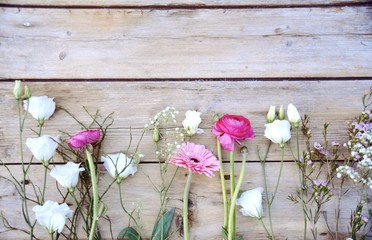 Frühlingsblumen - Blumengrüße - Ranunkeln, Gerbera
