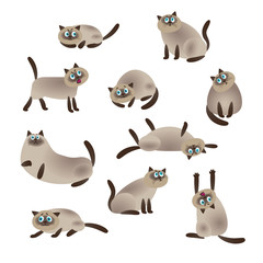 Siamese cat, collection of vector illustration of a flat style.