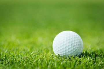 Golf ball in grass