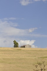 Italian Landscape