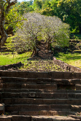 Wat Phu in Southern Laos