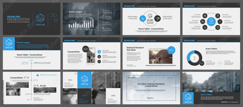 Canvas Prints elements for infographics and presentation templates.