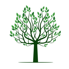 Fototapeta premium Green Tree with Leafs. Vector Illustration.