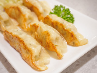 Gyoza dumplings with vegetables