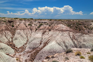 Petrified Forest National Park in Arizona is quite unique with its desert environment and the abundance of petrified wood,