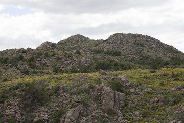 Fototapeta na wymiar Mountain in the Witchita Mountain Range