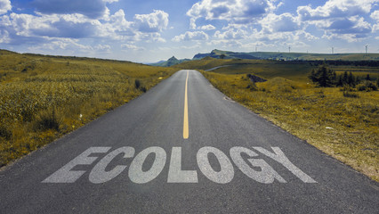 road to ecology