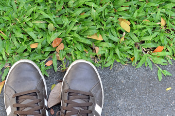 Shoes on the cement floor